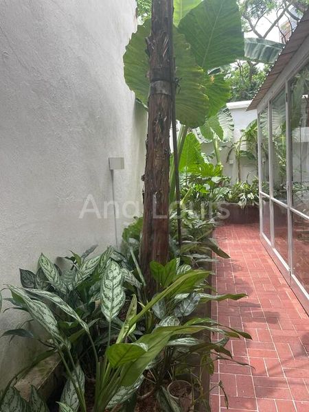 1 Bed Walk-up Apartment (Condo) for Rent in  Tiong Bahru Estate - Image 6